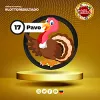 Pavo